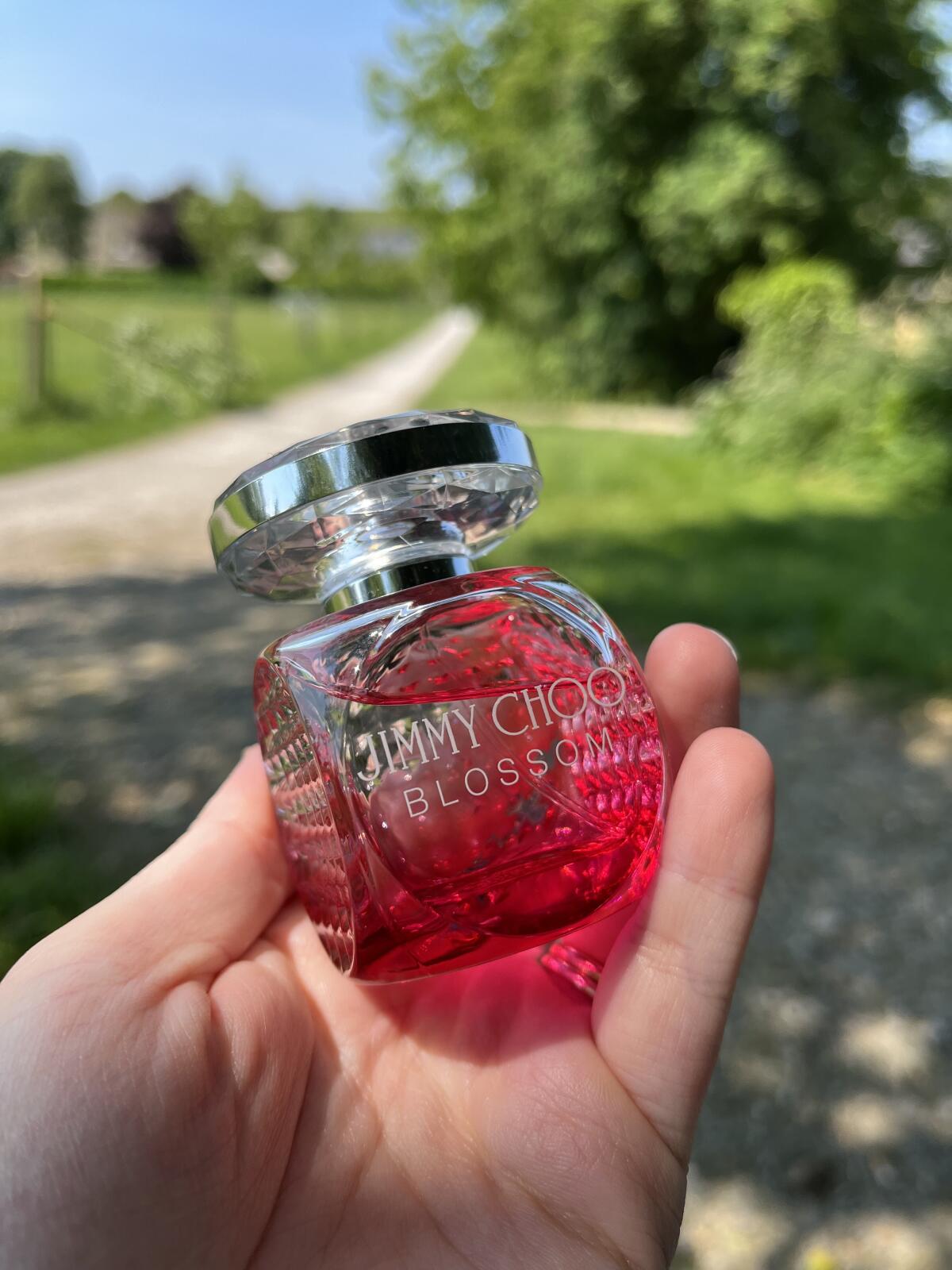 عطر ادکلن جیمی چو بلوسوم جیمی چو - Jimmy Choo Blossom Jimmy Choo - بررسی، قیمت و خرید