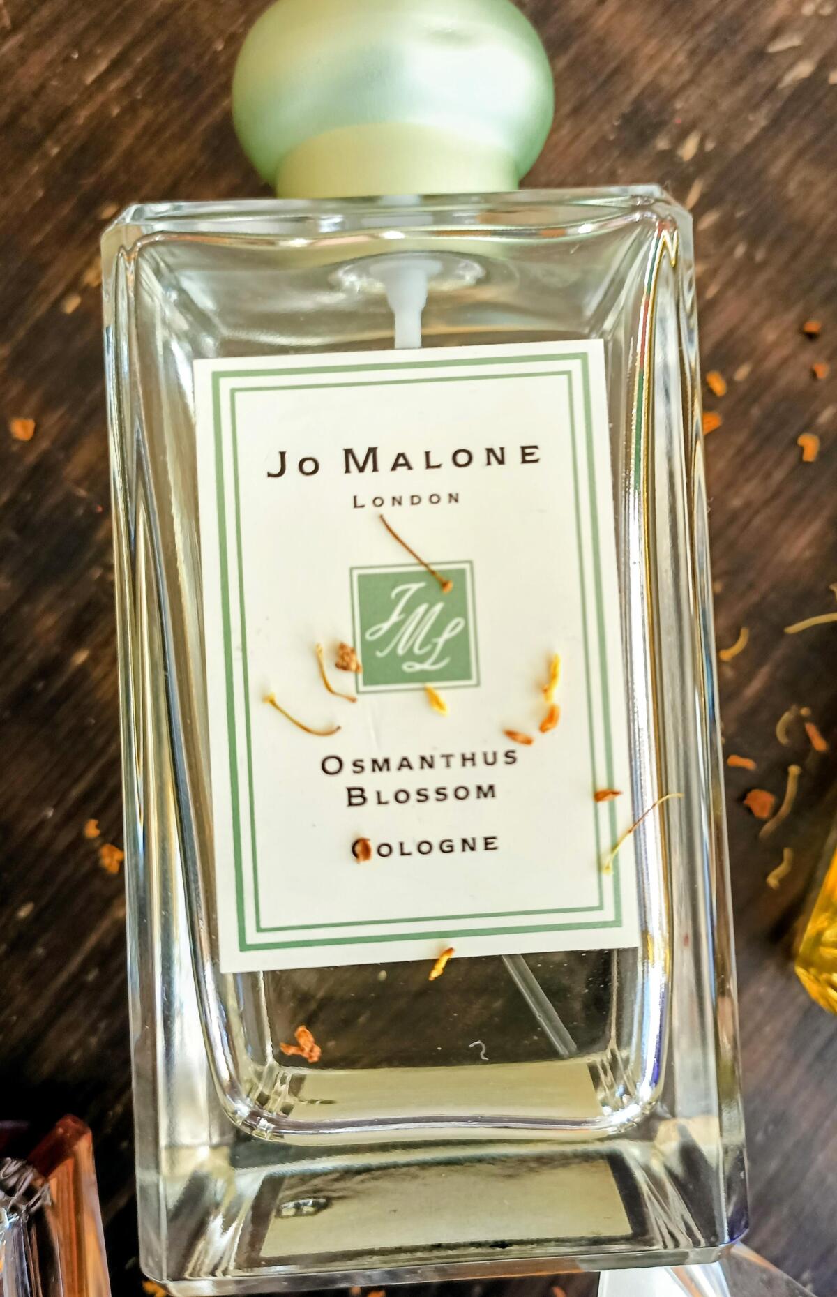 عطر ادکلن آسمانتوس بلاسم جو مالون لندن - Osmanthus Blossom (2017) Jo Malone London - بررسی، قیمت و خرید