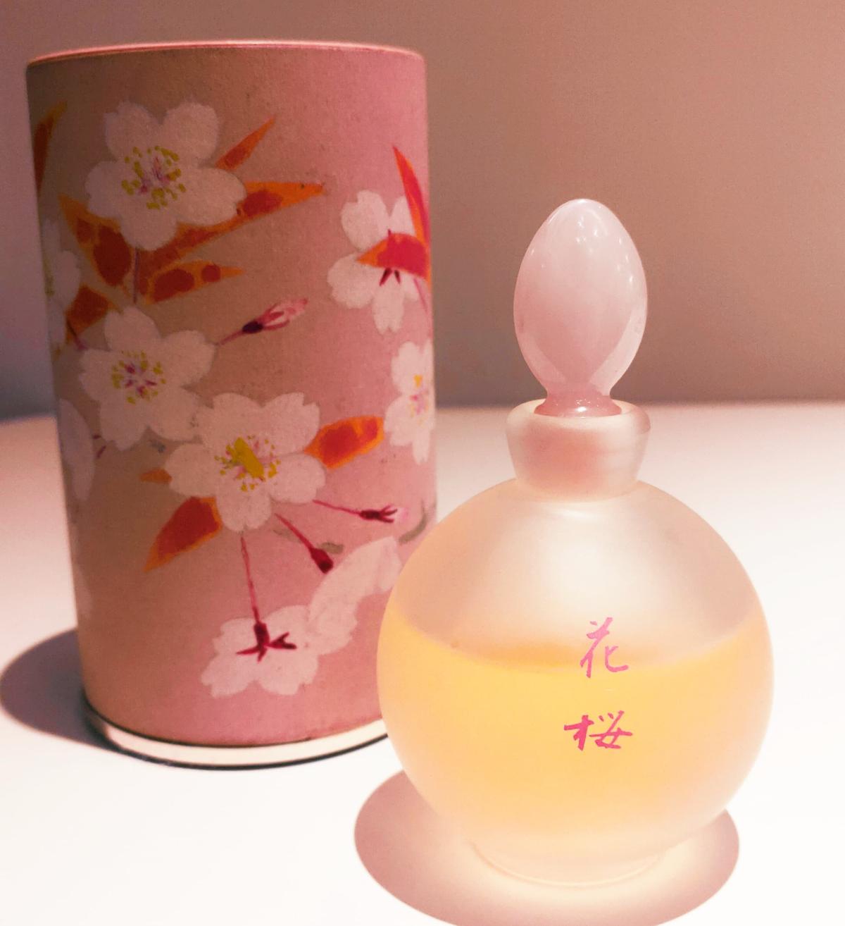 عطر ادکلن هانا ساکورا شیسیدو - Hana Sakura Shiseido - بررسی، قیمت و خرید