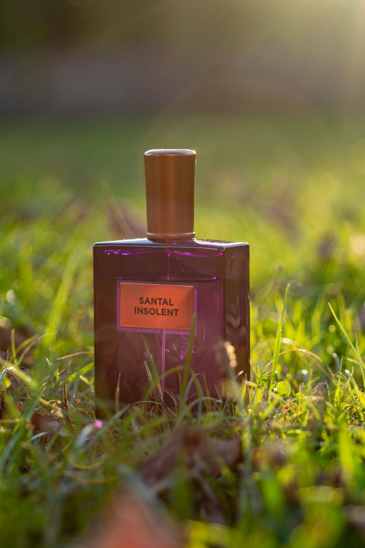 عطر ادکلن سنتال اینسولنت مولینارد - Santal Insolent Molinard - بررسی، قیمت و خرید