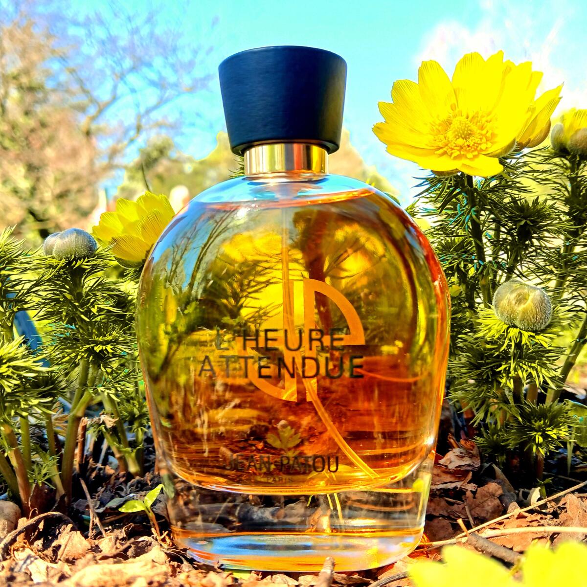 عطر ادکلن کالکشن هریتج لهر اتاندو ژان پاتو - Collection Heritage L'Heure Attendue Jean Patou - بررسی، قیمت و خرید