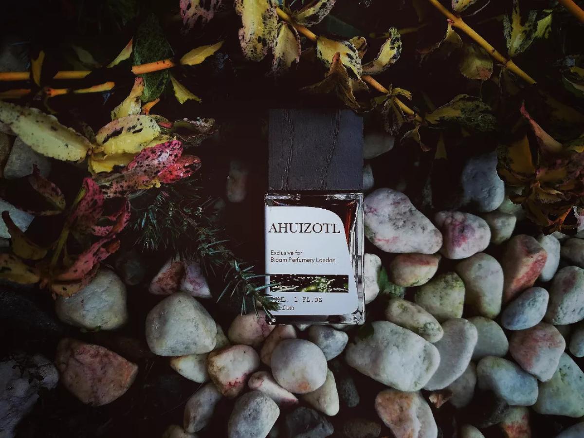 عطر ادکلن آهویتزل پرین - Ahuizotl Prin - بررسی، قیمت و خرید