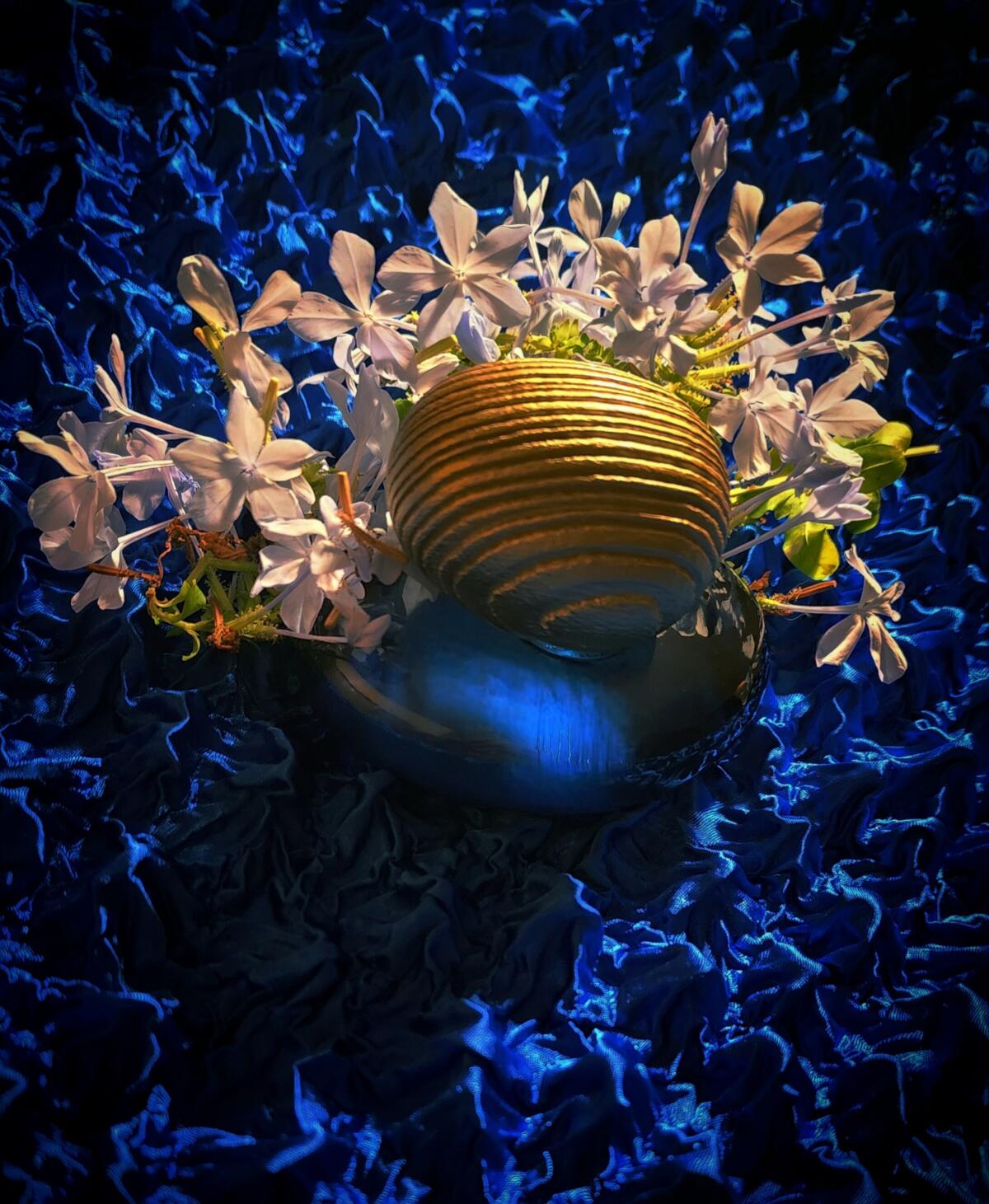 عطر ادکلن تولیتولاه آبسکور مایدا بککالی - Tulaytulah Obscur Majda Bekkali - بررسی، قیمت و خرید