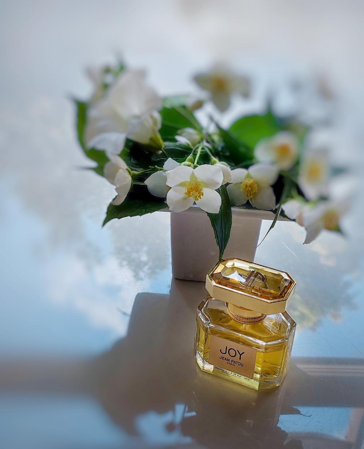 عطر ادکلن جوی فوراور ژان پاتو - Joy Forever Jean Patou - بررسی، قیمت و خرید