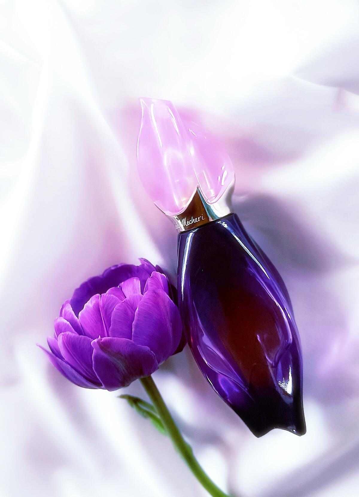 عطر ادکلن لوکوم کیکو ماچری - Loukhoum Keiko Mecheri - بررسی، قیمت و خرید