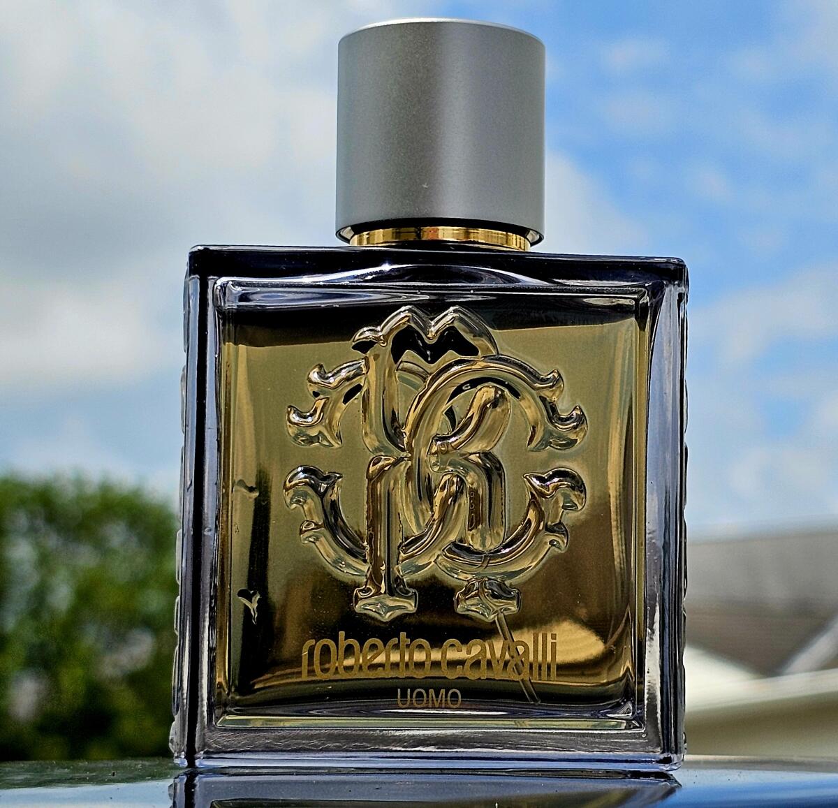 عطر ادکلن روبerto کاوالی اومو سیلور اسنس روبرتو کاوالی - Roberto Cavalli Uomo Silver Essence Roberto Cavalli - بررسی، قیمت و خرید