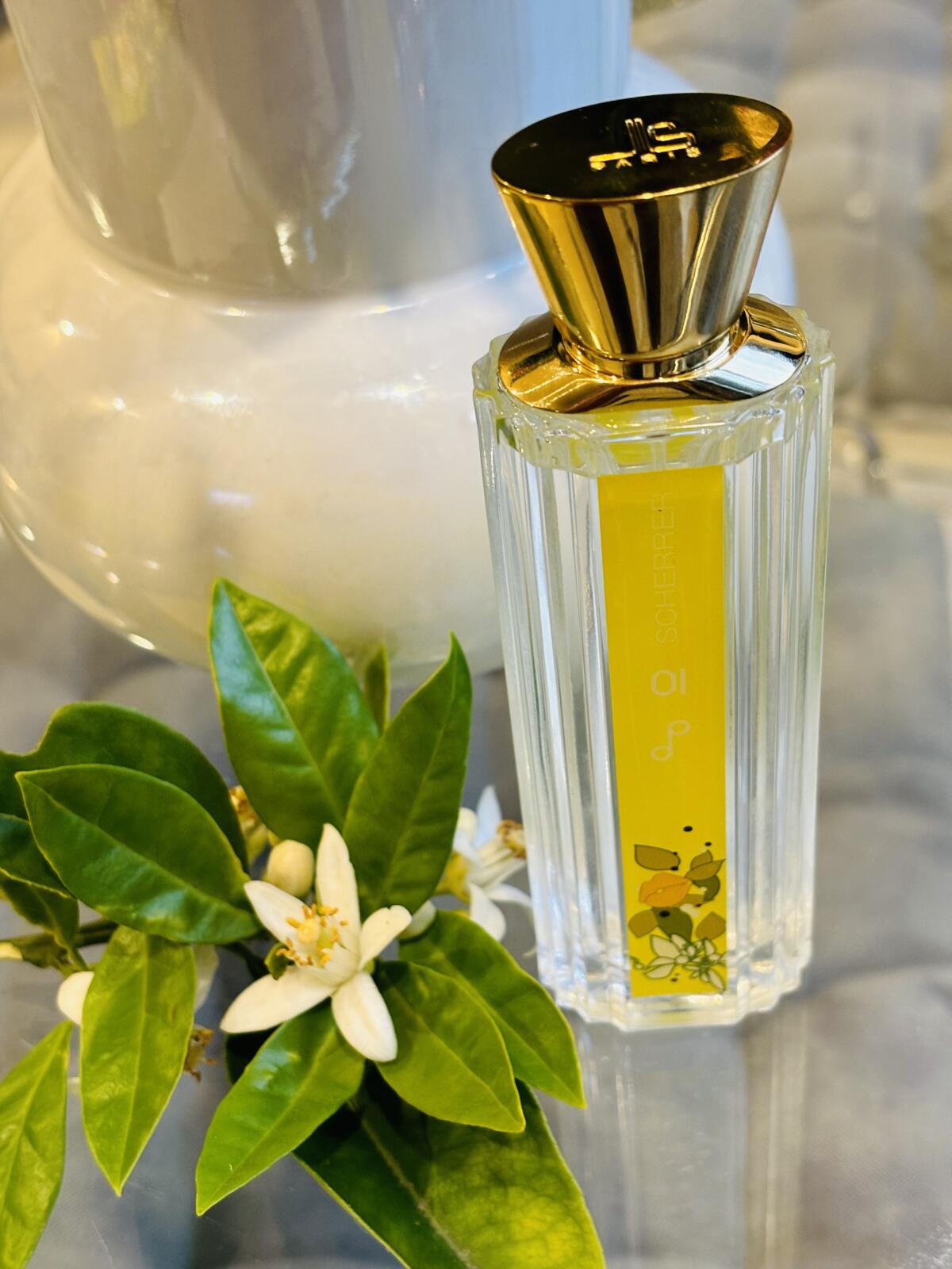 عطر ادکلن پاپ دلايتز صفر یک ژان لوئی شرر - Pop Delights 01 Jean-Louis Scherrer - بررسی، قیمت و خرید