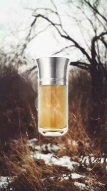 عطر ادکلن سالتوس لی لیکویدز ایمجینر - Saltus Les Liquides Imaginaires - بررسی، قیمت و خرید