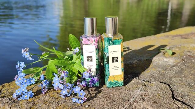 عطر ادکلن وایلد آکیلا جو مالون لندن - Wild Achillea Jo Malone London - بررسی، قیمت و خرید