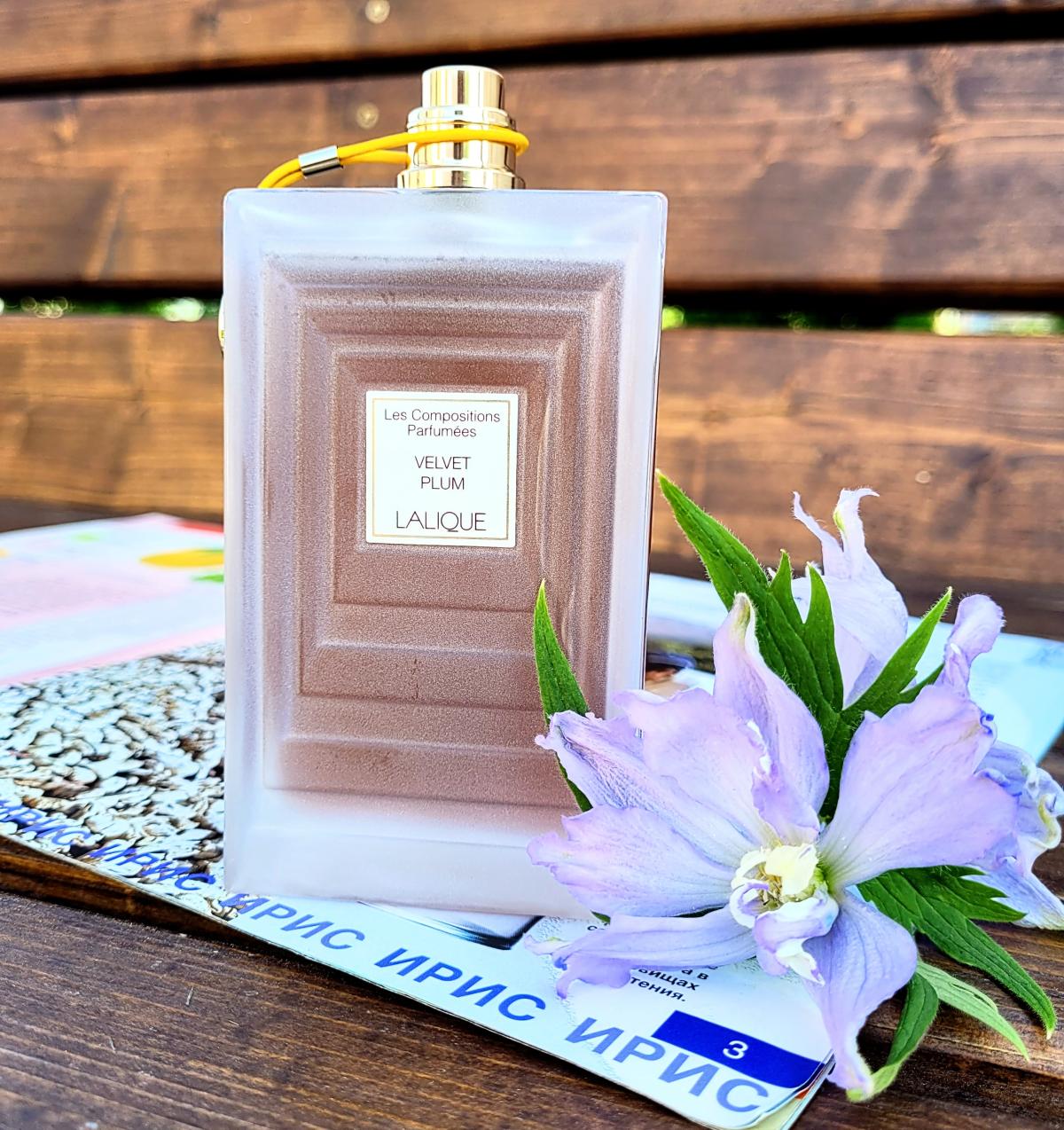 عطر ادکلن ولوت پلام لالیک - Velvet Plum Lalique - بررسی، قیمت و خرید