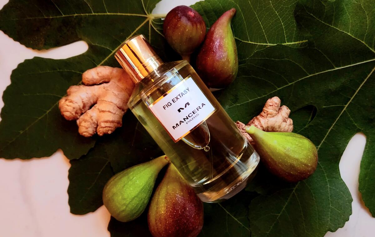 عطر ادکلن فیگ اکسستی مانسرا - Fig Extasy Mancera - بررسی، قیمت و خرید