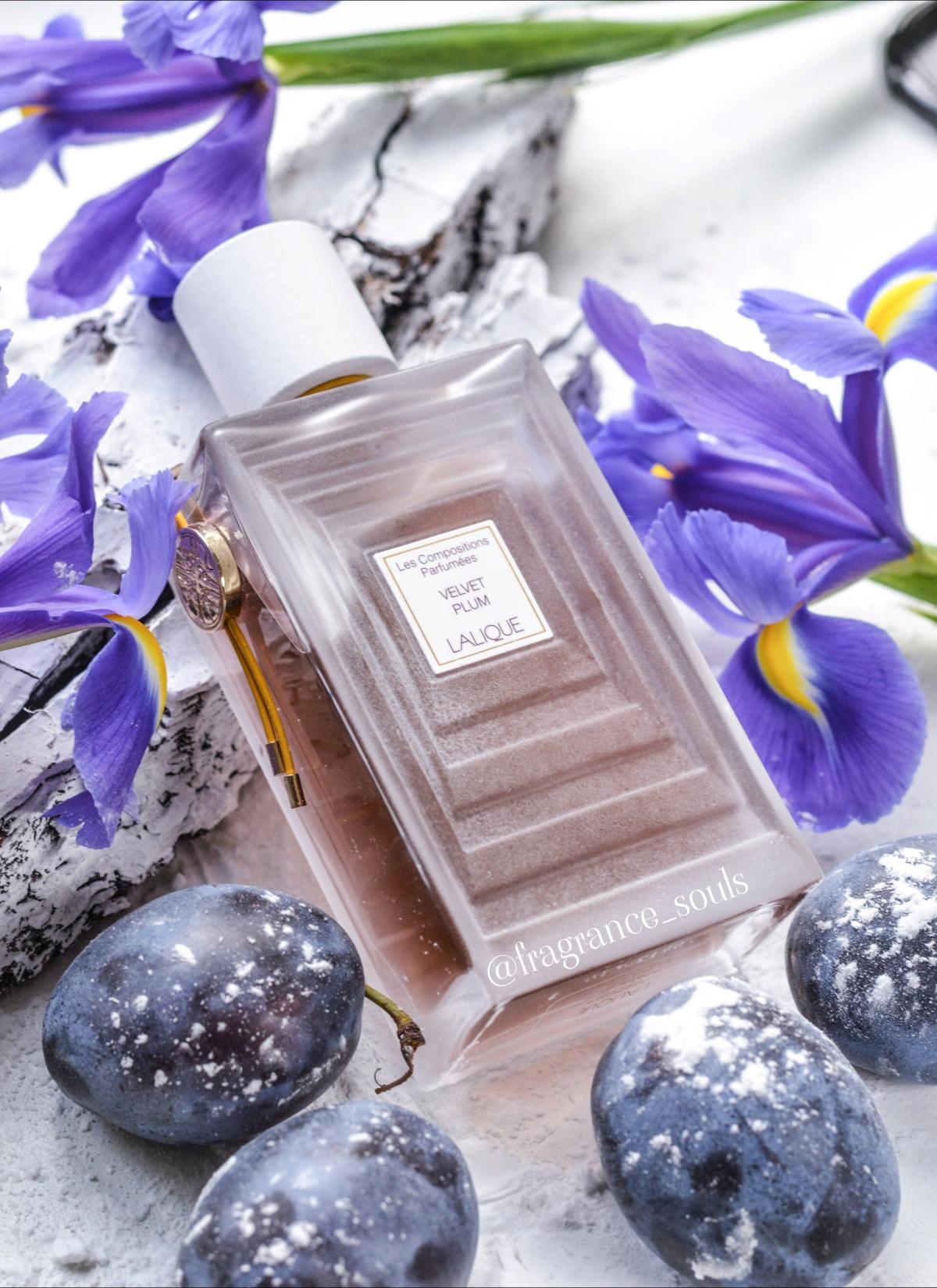 عطر ادکلن ولوت پلام لالیک - Velvet Plum Lalique - بررسی، قیمت و خرید