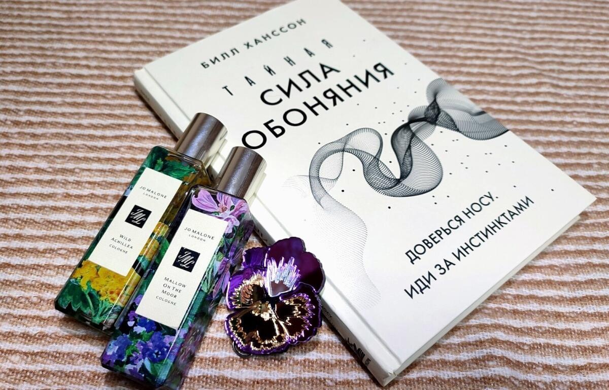 عطر ادکلن وایلد آکیلا جو مالون لندن - Wild Achillea Jo Malone London - بررسی، قیمت و خرید