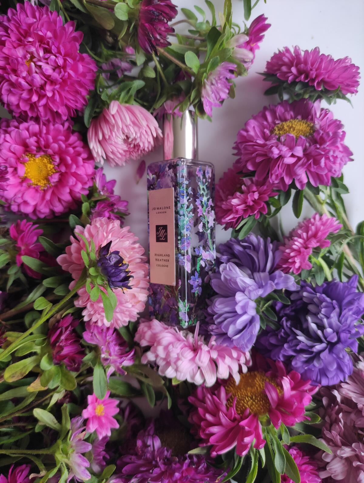 عطر ادکلن هایلند هدر جو مالون لندن - Highland Heather Jo Malone London - بررسی، قیمت و خرید