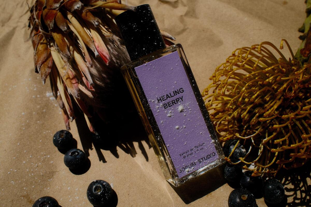 عطر ادکلن پونی بوی جرم استودیو - Pony Boy Jorum Studio - بررسی، قیمت و خرید