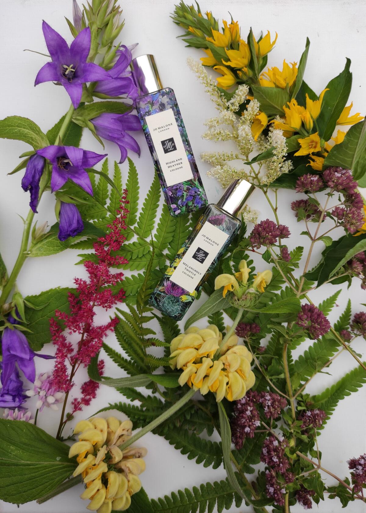 عطر ادکلن هایلند هدر جو مالون لندن - Highland Heather Jo Malone London - بررسی، قیمت و خرید