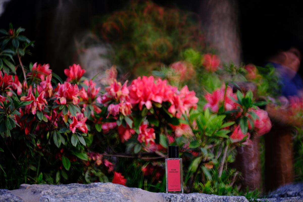 عطر ادکلن رُز هایلند جروم استودیو - Rose Highland Jorum Studio - بررسی، قیمت و خرید