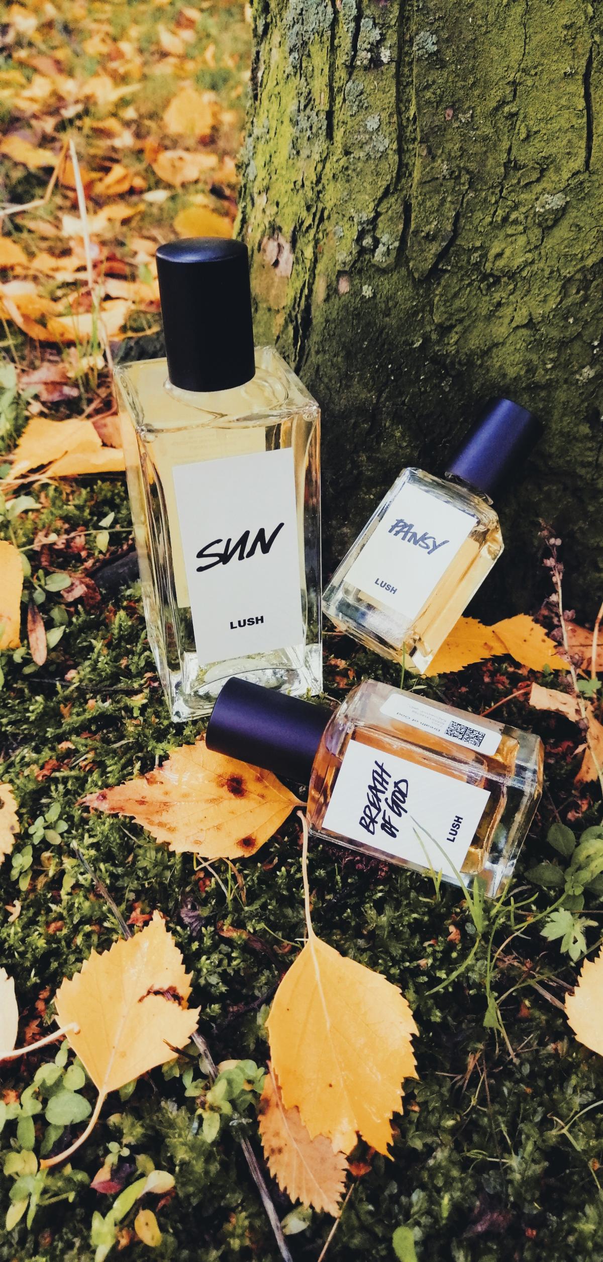 عطر ادکلن پنزی لاش - Pansy Lush - بررسی، قیمت و خرید