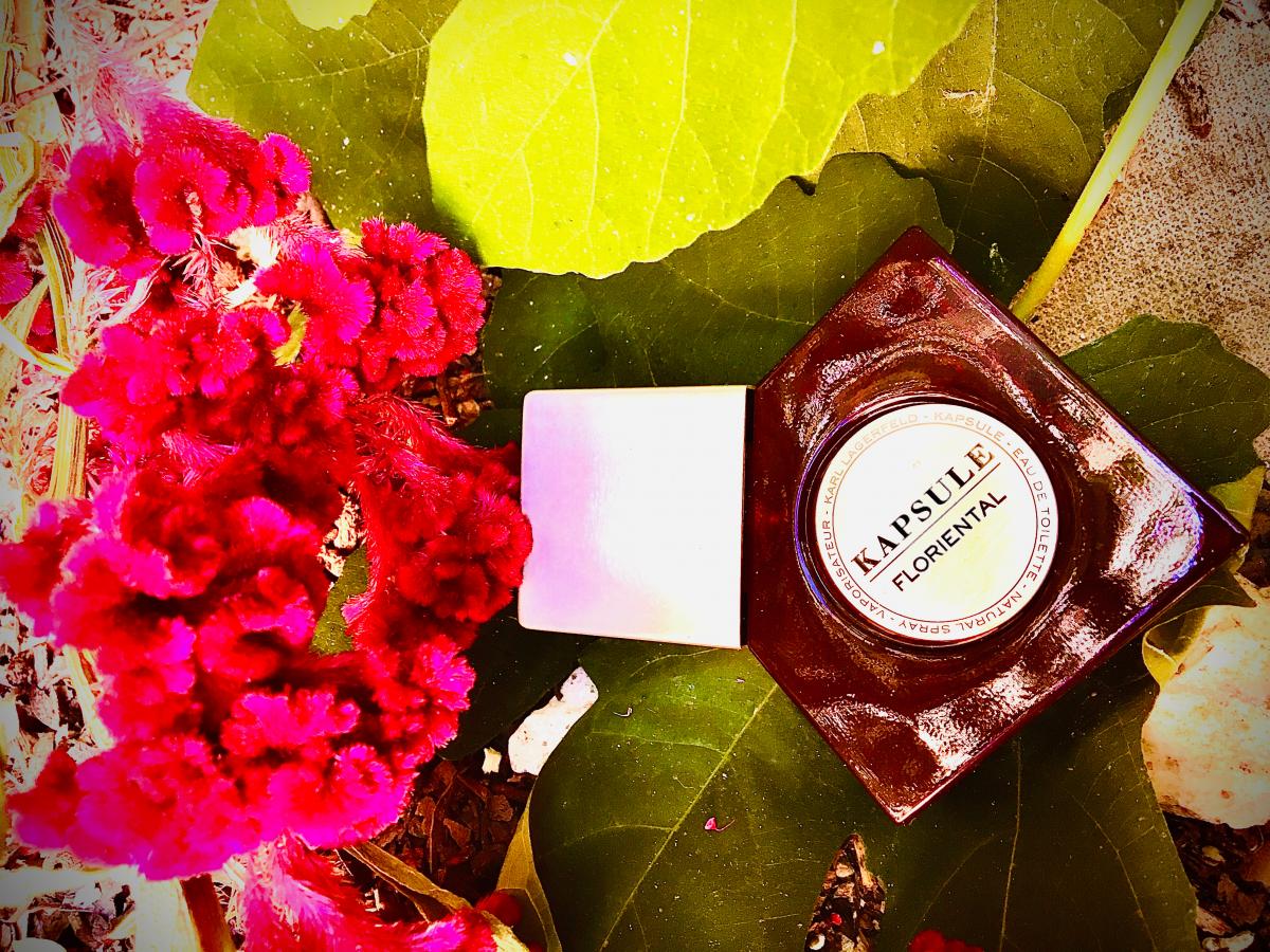 عطر ادکلن کپسول فلورینتال کارل لاگرفلد - Kapsule Floriental Karl Lagerfeld - بررسی، قیمت و خرید