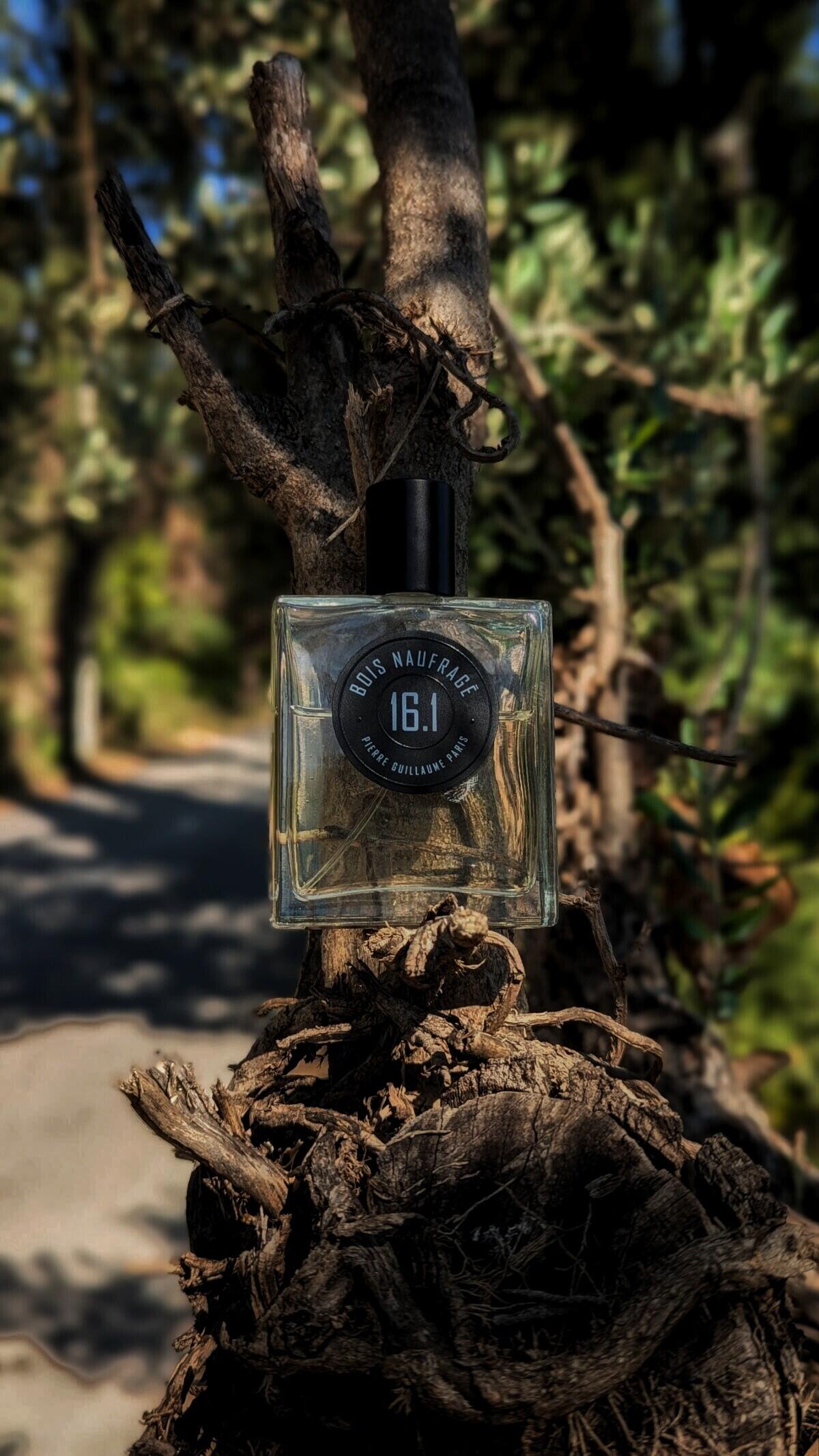 عطر ادکلن بوی نوفراژ شانزده و یک پیر گیوم پاریس - Bois Naufrage 16.1 Pierre Guillaume Paris - بررسی، قیمت و خرید