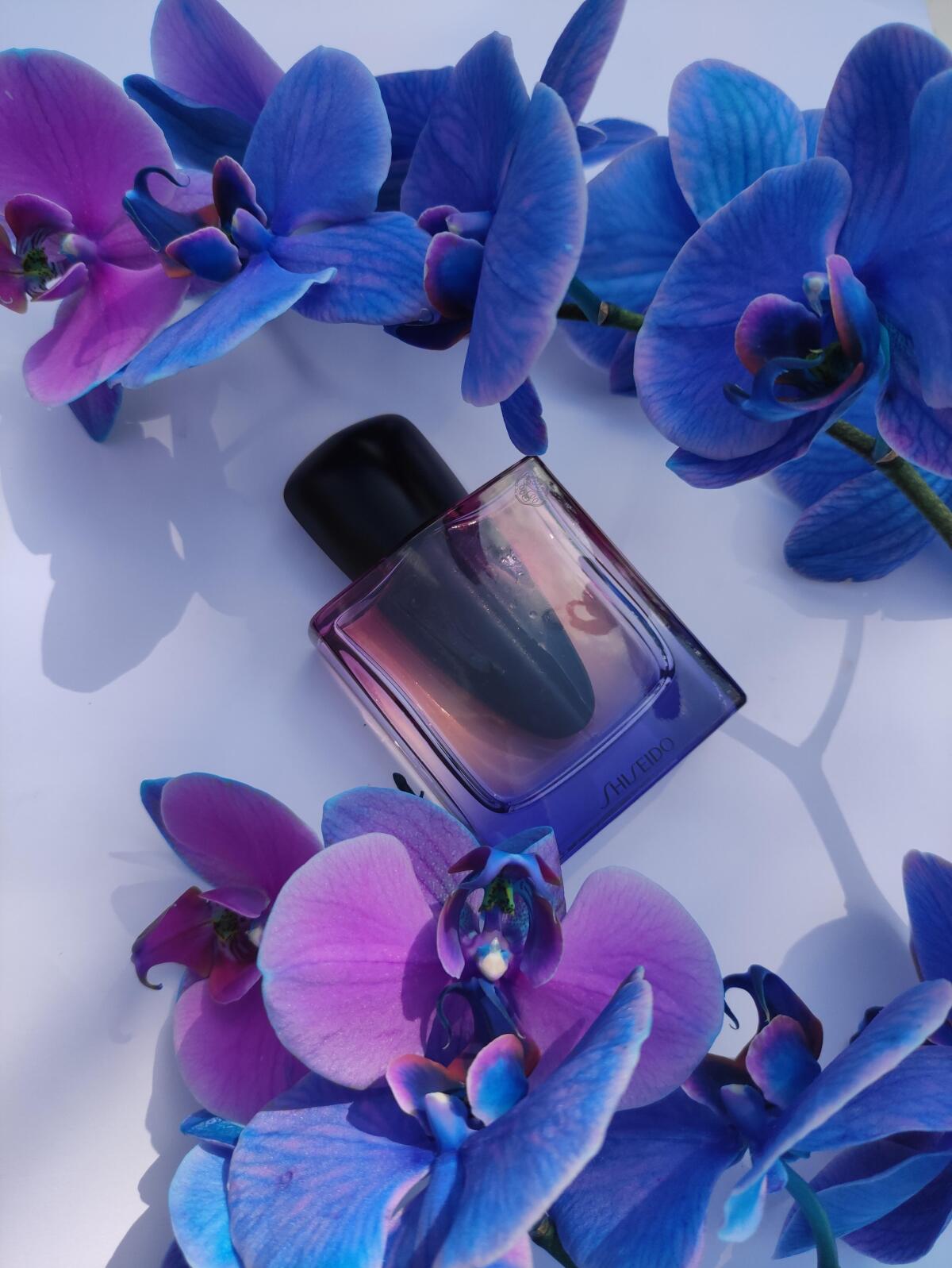 عطر ادکلن گینزا نایت شیسیدو - Ginza Night Shiseido - بررسی، قیمت و خرید