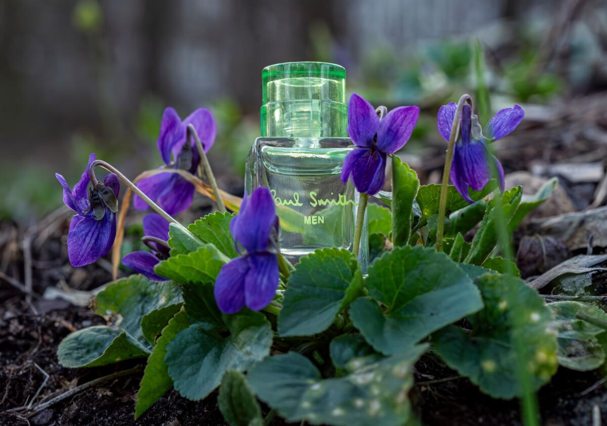 عطر ادکلن پل اسمیت من پول اسمیت - Paul Smith Men Paul Smith - بررسی، قیمت و خرید