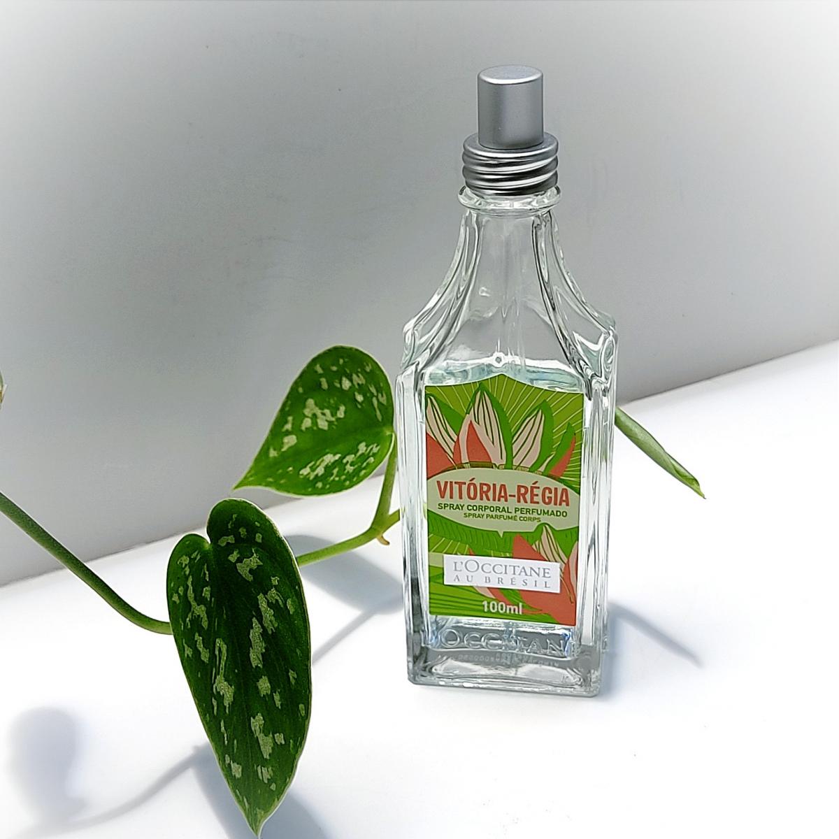 عطر ادکلن ویتوریا رژیا فلور دو دیا لوکسیتان او برزیل - Vitória Régia Flor do Dia L’Occitane Au Brésil - بررسی، قیمت و خرید