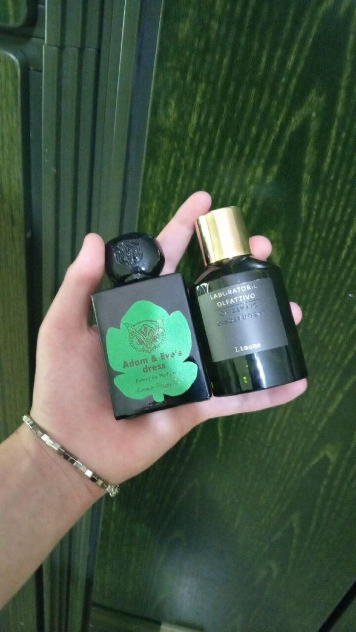 عطر ادکلن آدام اند ایوز درس لورنتزو پاتزالی - Adam & Eve's Dress Lorenzo Pazzaglia - بررسی، قیمت و خرید