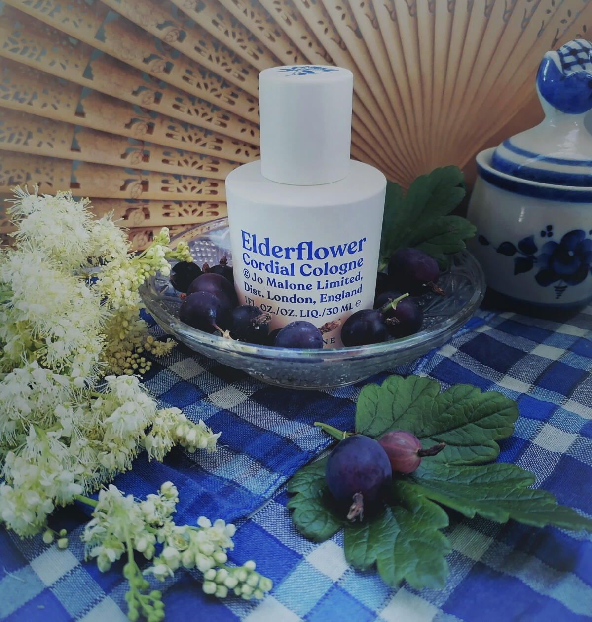 عطر ادکلن اِلدرفلاور کوردیال کلون جو مالون لاندن - Elderflower Cordial Cologne Jo Malone London - بررسی، قیمت و خرید