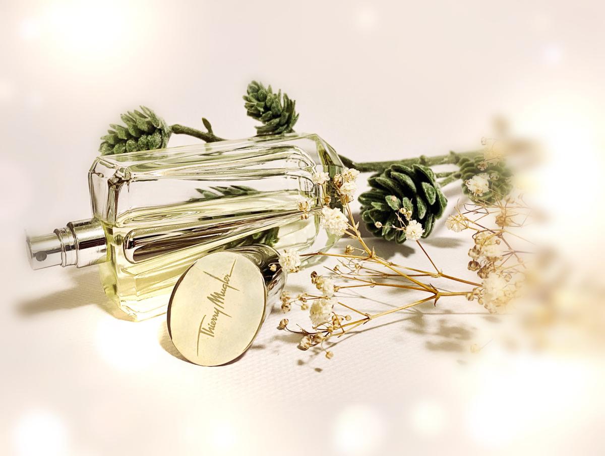 عطر ادکلن میرور میرور کالکشن - میرور دس سیکرتس موگلر - Mirror Mirror Collection - Miroir des Secrets Mugler - بررسی، قیمت و خرید