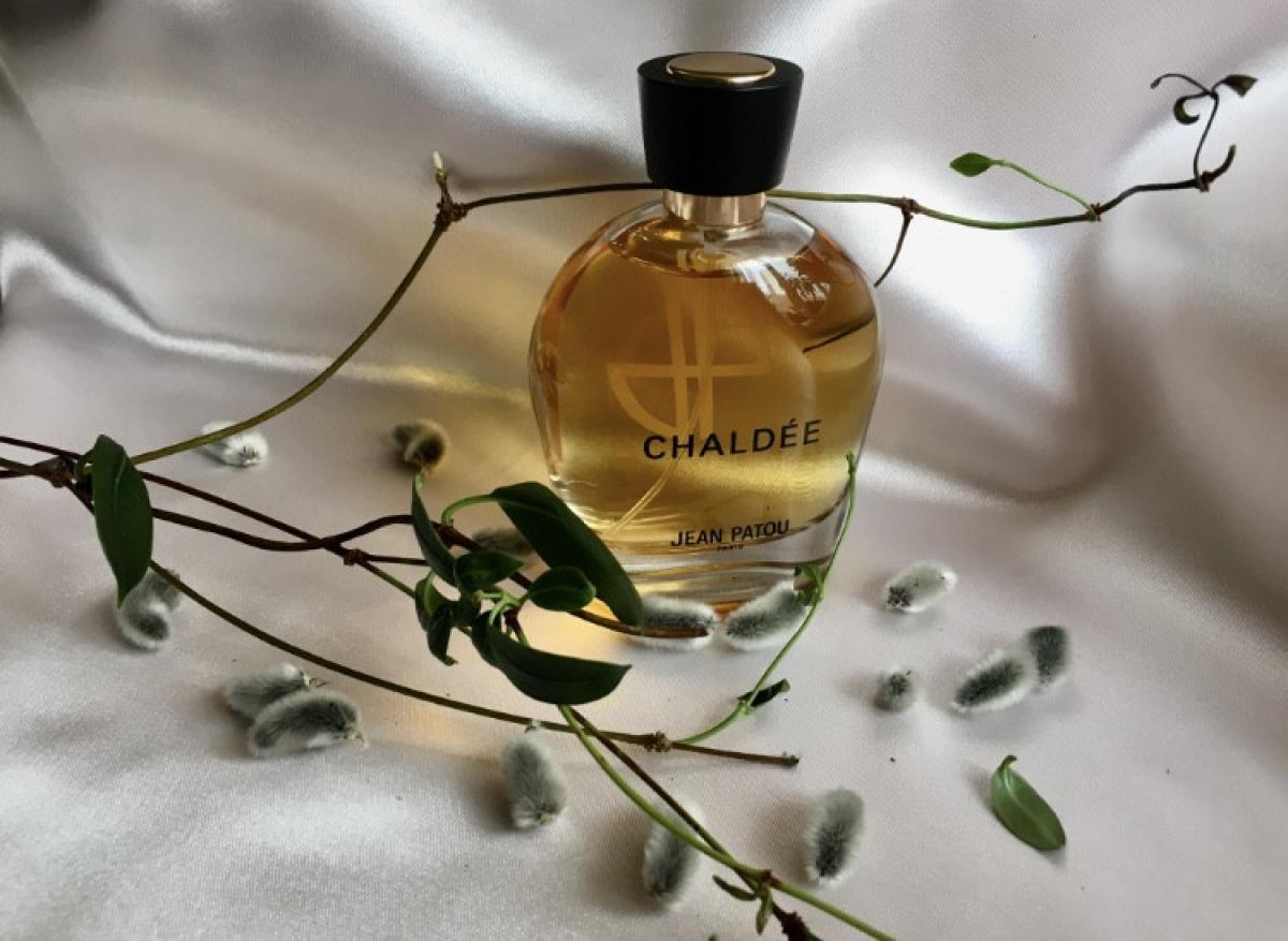 عطر ادکلن کالکشن هریتیج شالدی ژان پاتو - Collection Heritage Chaldée Jean Patou - بررسی، قیمت و خرید
