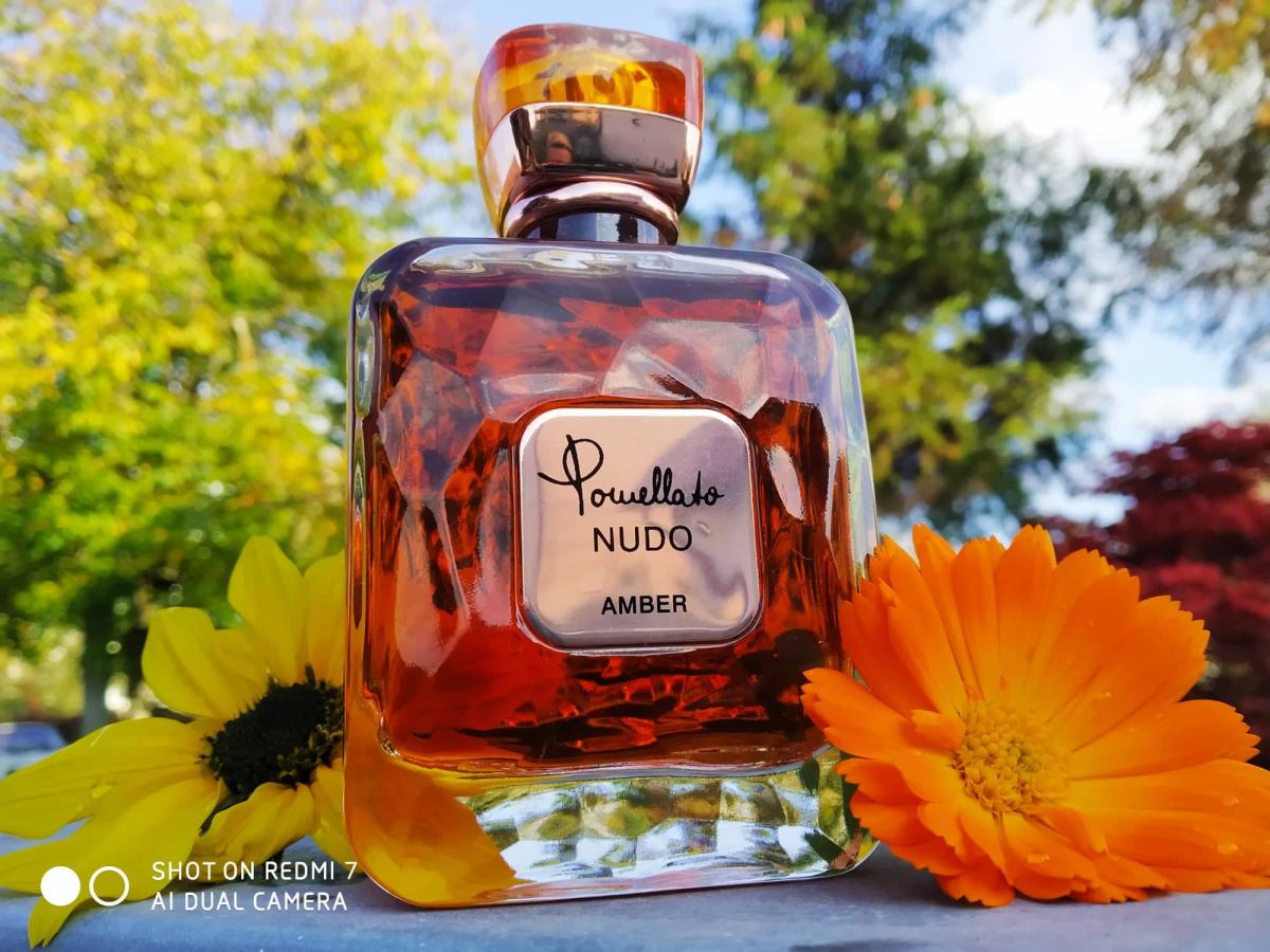عطر ادکلن پوملاتو نودو امبر پوملاتو - Pomellato Nudo Amber Pomellato - بررسی، قیمت و خرید