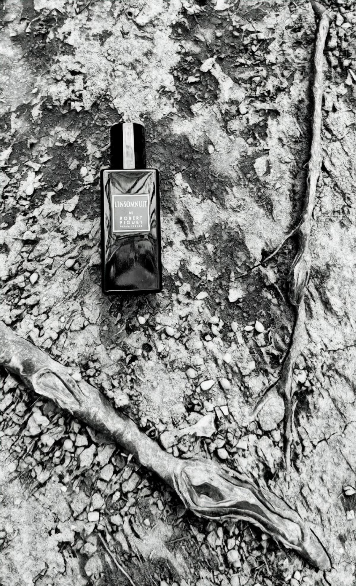 عطر ادکلن لن‌سوم‌نوی رابرت پیگه - L'Insomnuit Robert Piguet - بررسی، قیمت و خرید