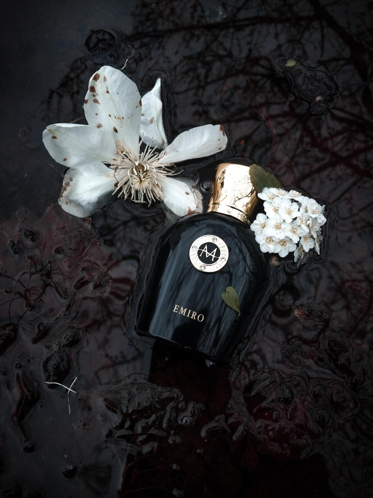 عطر ادکلن ایمیرو مورِسک - Emiro Moresque - بررسی، قیمت و خرید