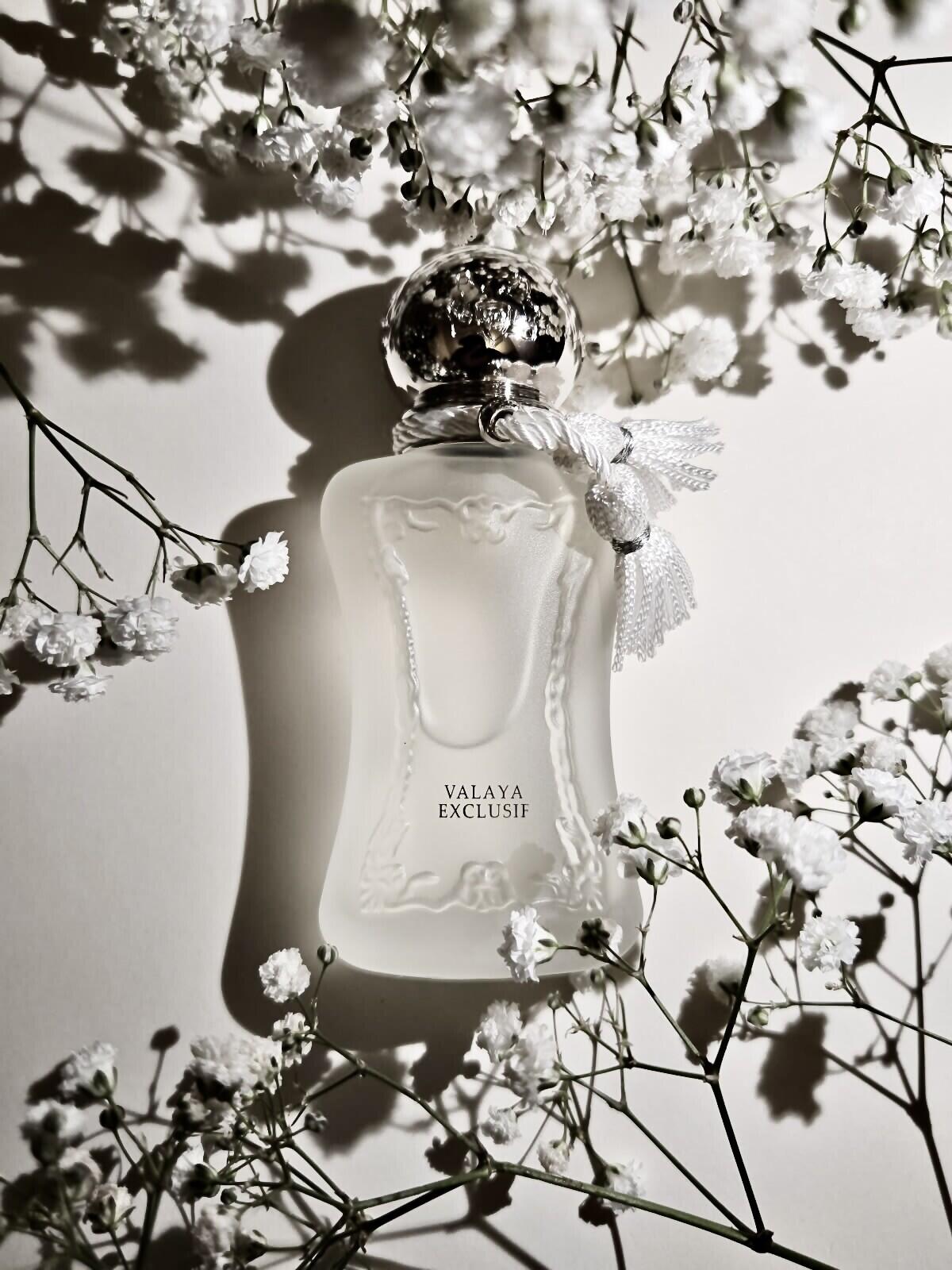 عطر ادکلن والایا اکسکلوسیو پارفوم د مارلی - Valaya Exclusif Parfums de Marly - بررسی، قیمت و خرید