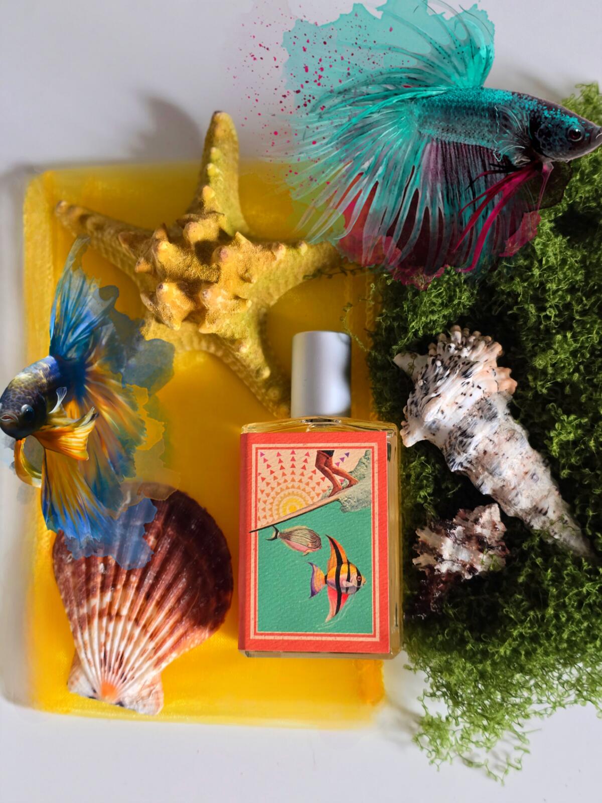 عطر ادکلن سان‌درانک ایمجینری آثرز - Sundrunk Imaginary Authors - بررسی، قیمت و خرید