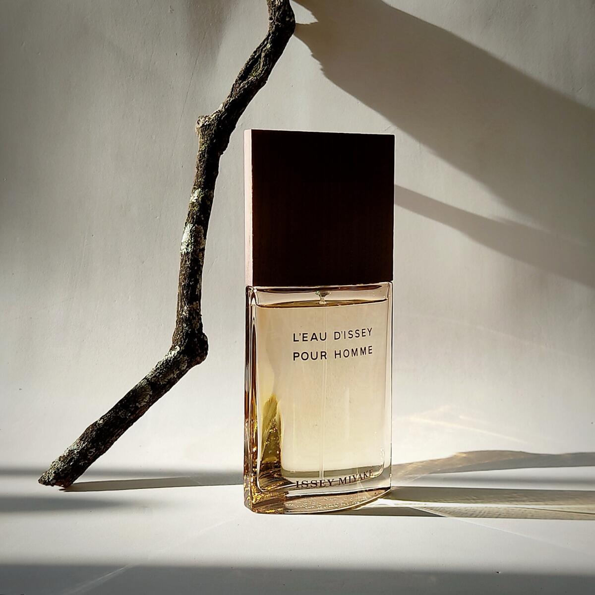 عطر ادکلن له اودیسه پور هوم وتیور ایسه میاکه - L’Eau d’Issey pour Homme Vetiver Issey Miyake - بررسی، قیمت و خرید