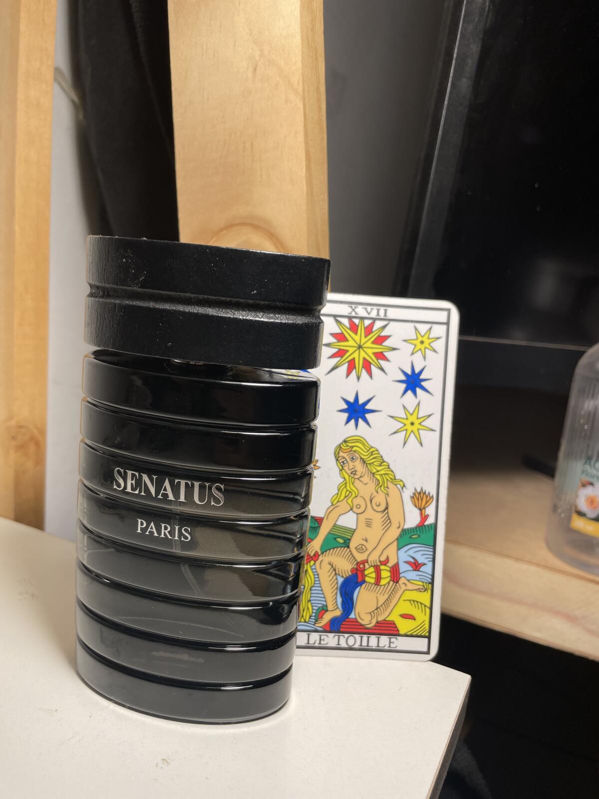 عطر ادکلن سِناتوس نوآر پره‌ستیژس - Senatus Noir Prestigious - بررسی، قیمت و خرید