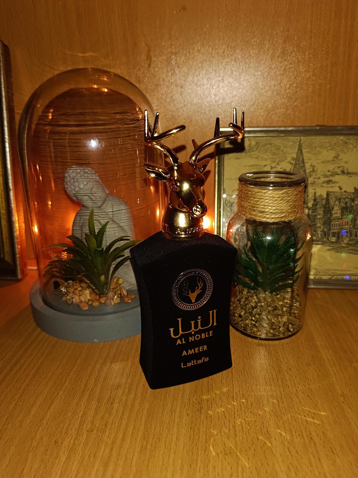 عطر ادکلن امیر لطافه پرفیومز - Ameer Lattafa Perfumes - بررسی، قیمت و خرید