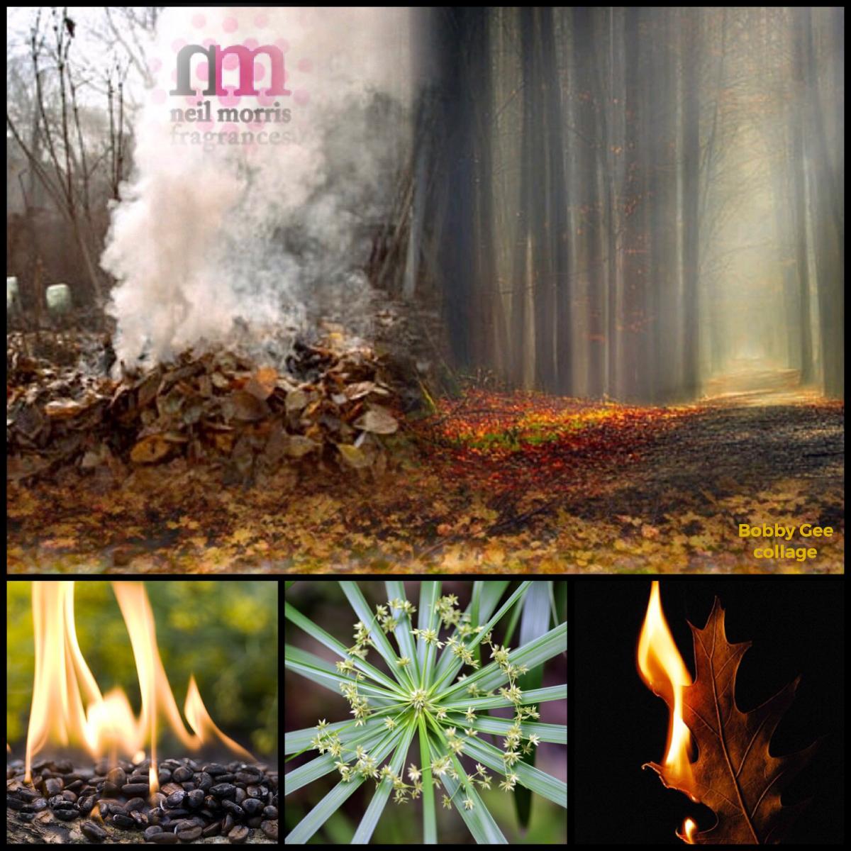 عطر ادکلن چیسینگ آتوم نیل موریس - Chasing Autumn Neil Morris - بررسی، قیمت و خرید