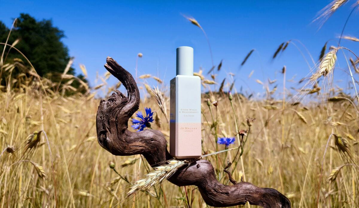 عطر ادکلن گرین ویت اند میدوسوییت جو مالون لندن - Green Wheat & Meadowsweet Jo Malone London - بررسی، قیمت و خرید