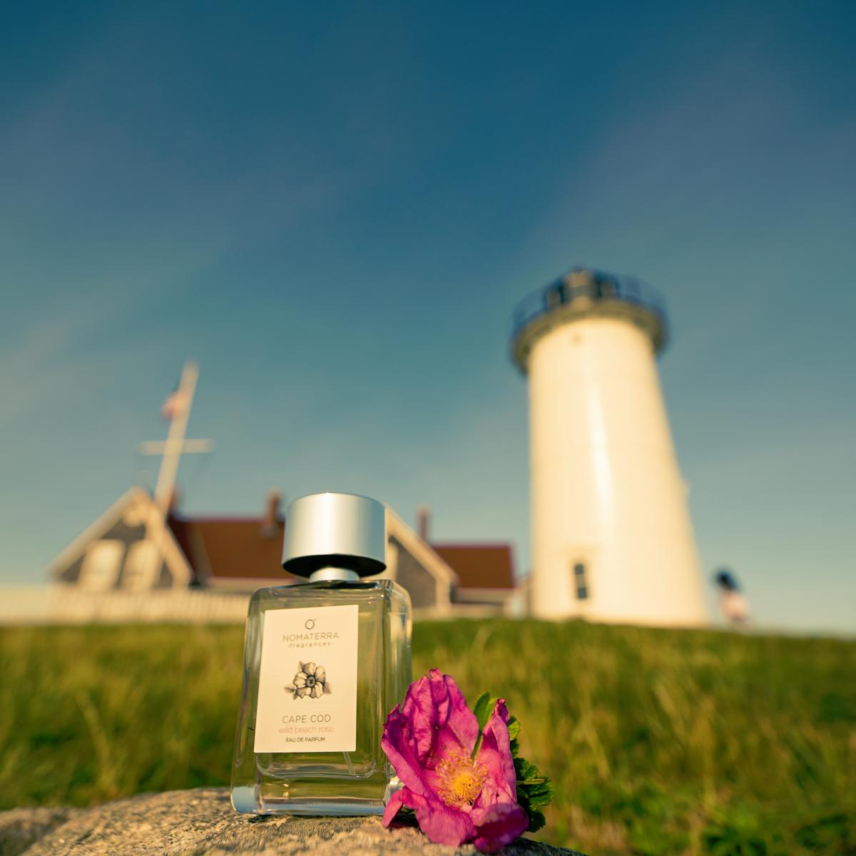 عطر ادکلن کیپ کاد وایلد بیچ رز نوماترا - Cape Cod Wild Beach Rose Nomaterra - بررسی، قیمت و خرید