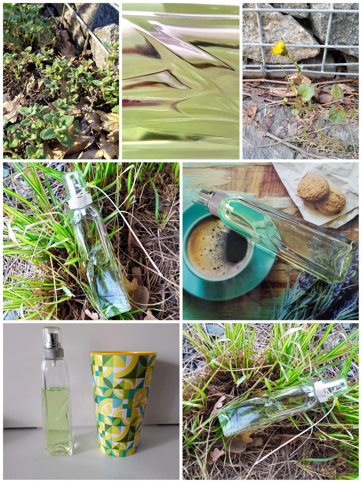 عطر ادکلن ماگلر کُلُنی موگلر - Mugler Cologne Mugler - بررسی، قیمت و خرید