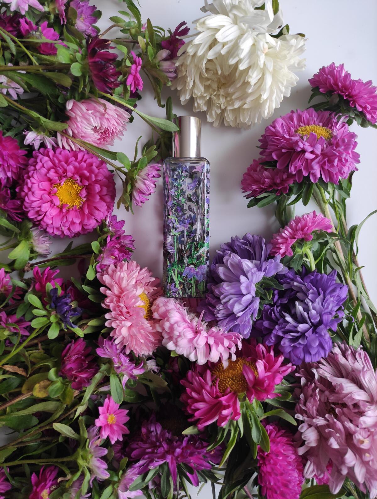 عطر ادکلن هایلند هدر جو مالون لندن - Highland Heather Jo Malone London - بررسی، قیمت و خرید