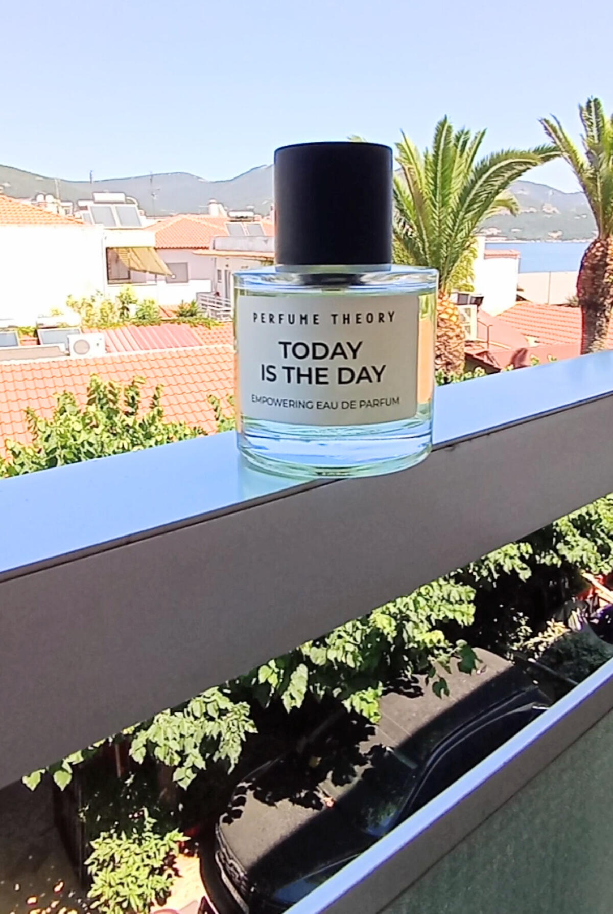 عطر ادکلن تودِی ایز دِ دِی پرفیوم تئوری - Today is the Day Perfume Theory - بررسی، قیمت و خرید
