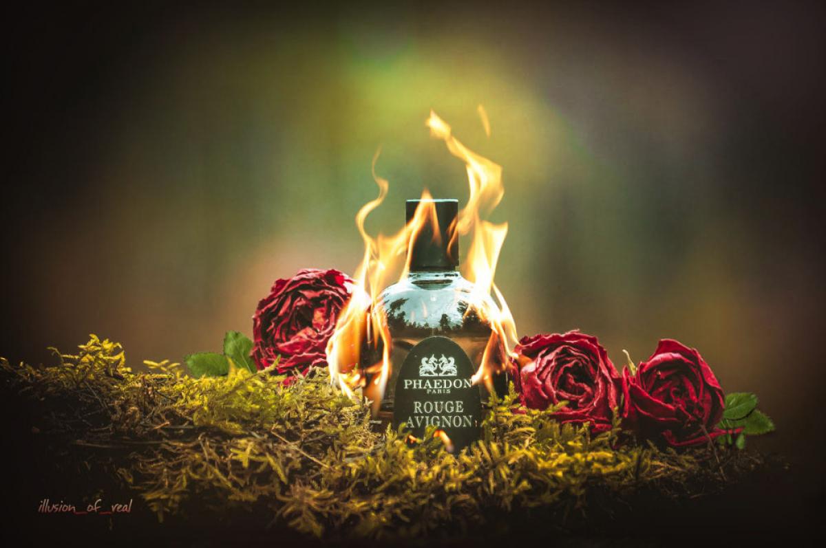 عطر ادکلن روژ آوینیون فایدون - Rouge Avignon Phaedon - بررسی، قیمت و خرید