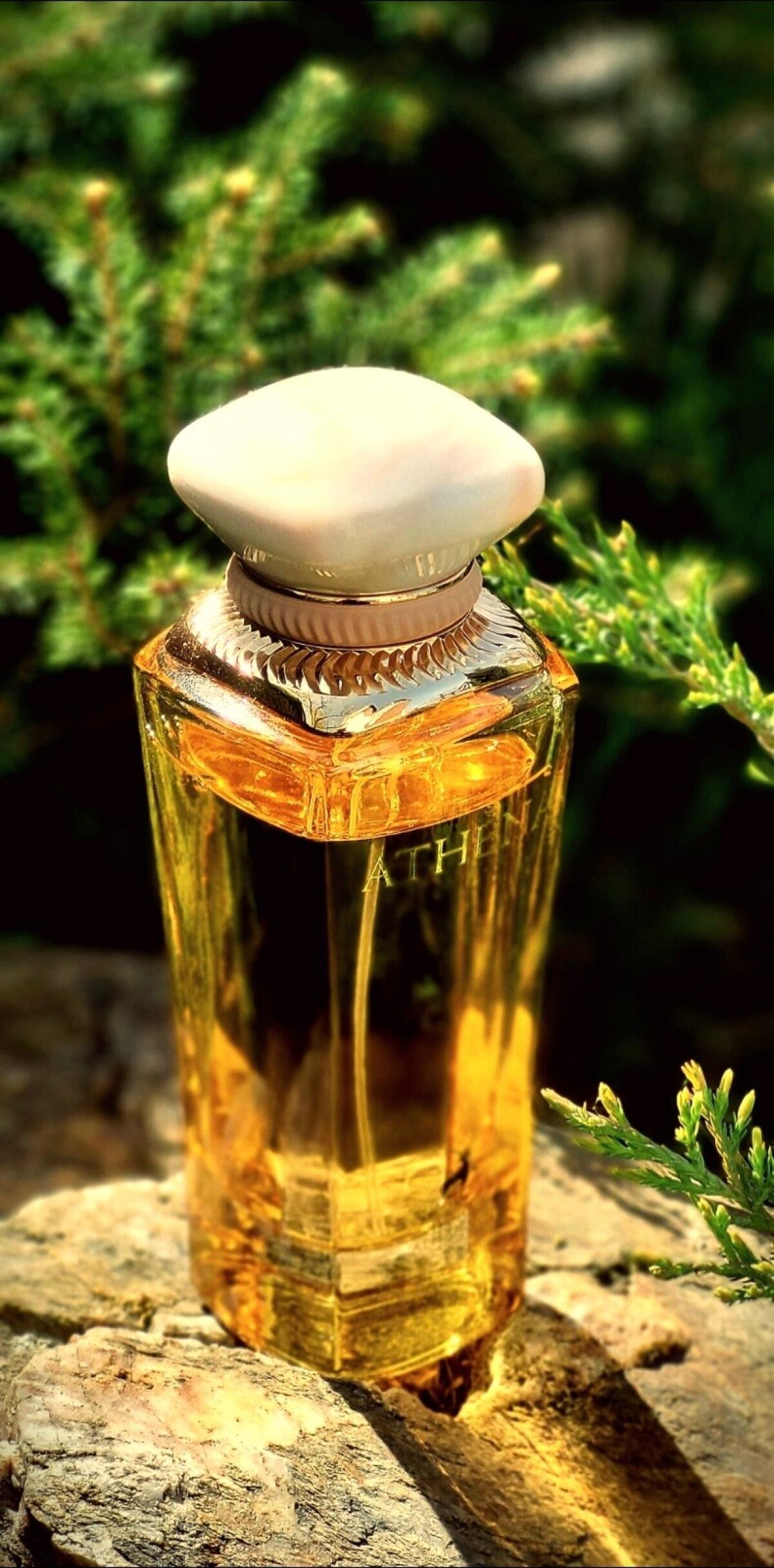 عطر ادکلن آتنا میزون الهمبرا - Athena Maison Alhambra - بررسی، قیمت و خرید