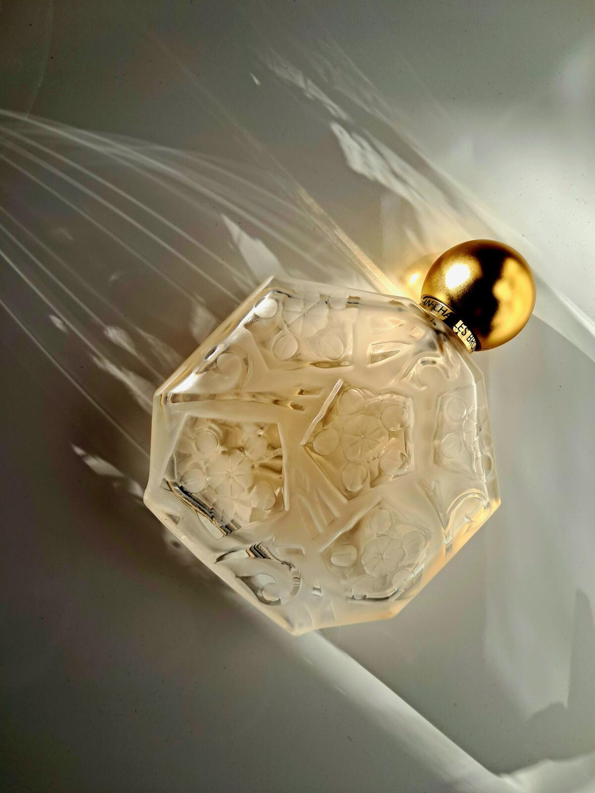 عطر ادکلن آمبر رز ادیشن دِ اکْسِپسیون او دو پَرفیوم ژان شارل بروسو - Ombre Rose Edition d'Exception Eau de Parfum Jean Charles Brosseau - بررسی، قیمت و خرید