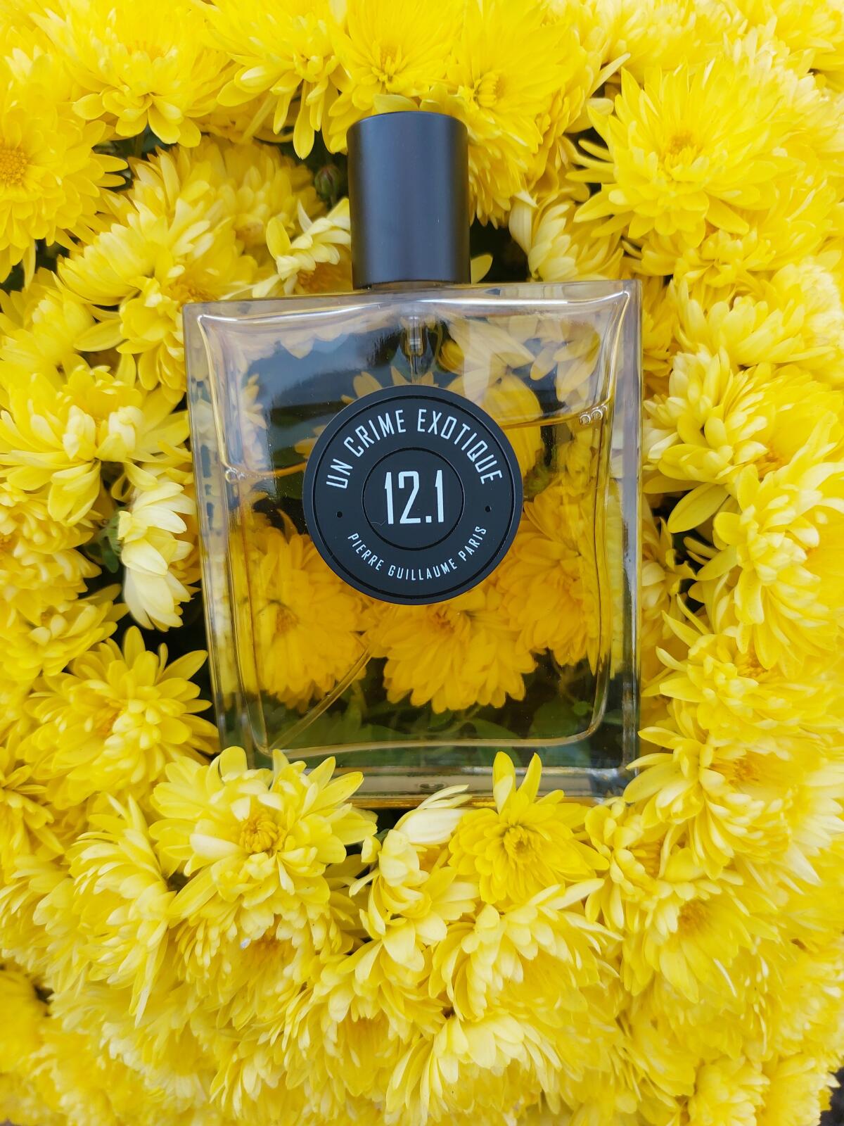 عطر ادکلن آن کریم اگزوتیک دوازده یک پیر گیوم پاریس - Un Crime Exotique 12.1 Pierre Guillaume Paris - بررسی، قیمت و خرید