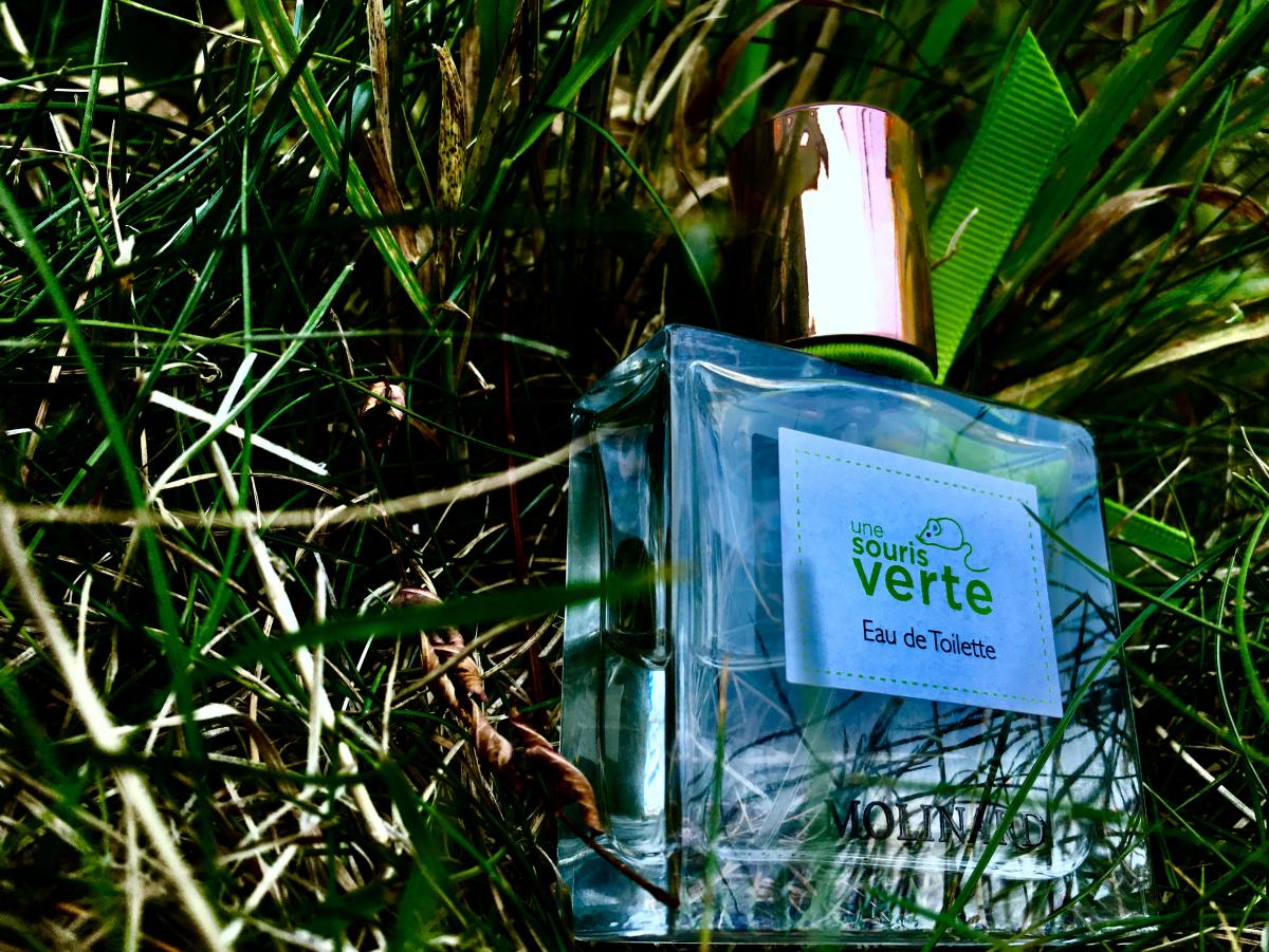 عطر ادکلن اون سورى وِرت مولینارد - Une Souris Verte Molinard - بررسی، قیمت و خرید